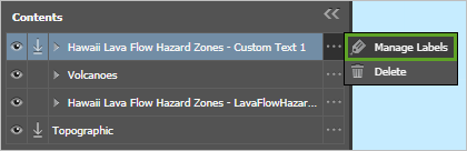 Manage Labels selected in the text layer's options menu Manage Labels selected in the text layer's options menu